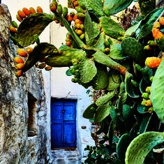 AcropolisTravel.gr