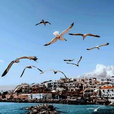 AcropolisTravel.gr