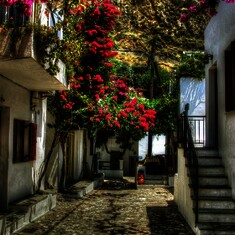 AcropolisTravel.gr